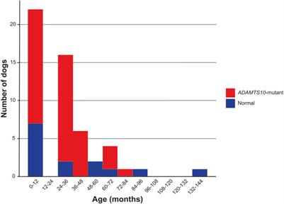 Ocular pulse amplitude (OPA) in canine ADAMTS10-open-angle glaucoma (ADAMTS10-OAG)